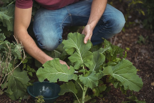 Proximit&#233;, transparence et passion du n&#233;goce ADS Agro